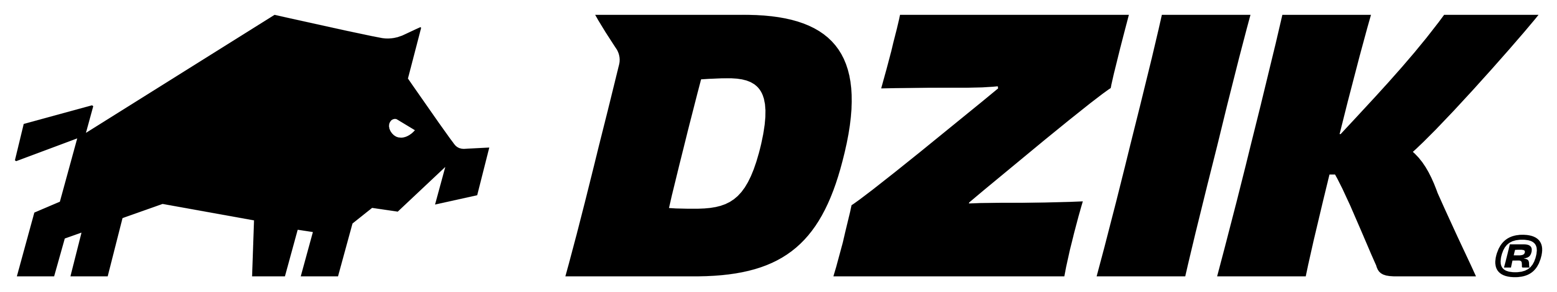 WKDzik